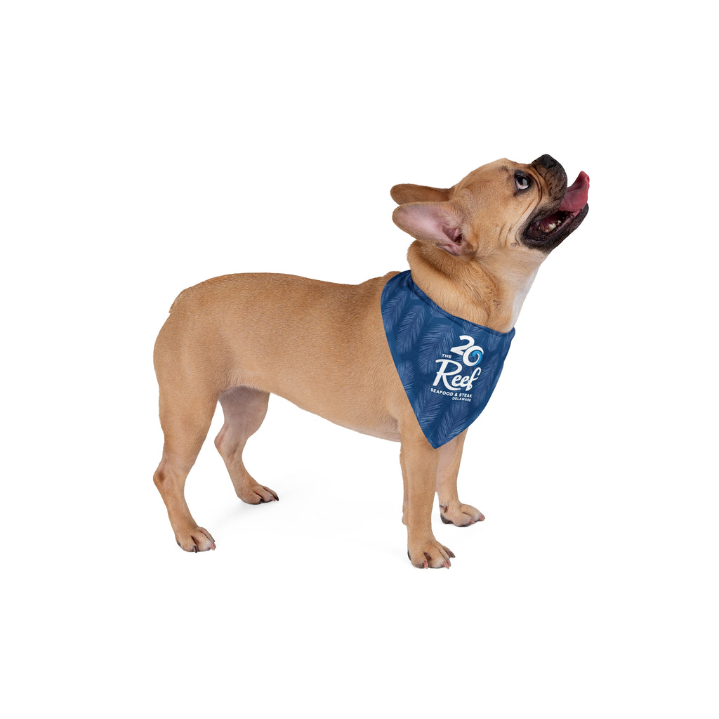 Reef 20th Anniversary Pet Bandana
